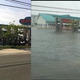 Image for article titled Four Tragic Articles That Will Make You Feel Guilty About Your Post-Hurricane Ennui